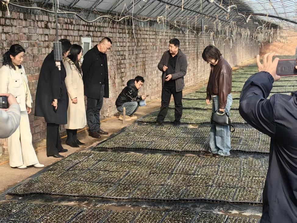 3b580fec32697a59650dccd0f84357ce