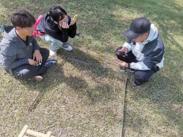 8894793048de0a5479eeb5aeb73476a