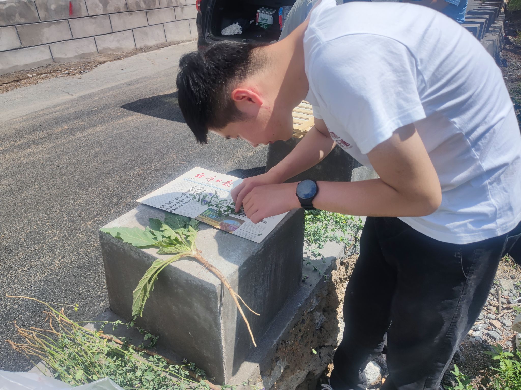 8e8e3270f81466ff142d8acfc23c1cb