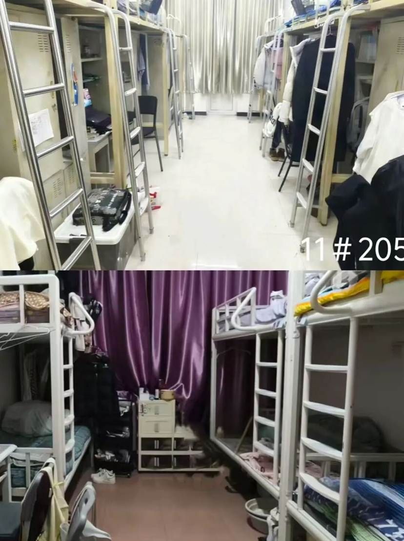 aa3b356944a2b9c3cc558c9caa61170ee73a010a