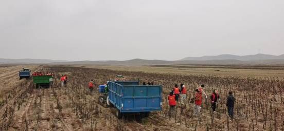 ffeab94ca301e6c1dd5aa073c4f5927