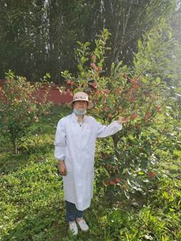 说明: C:\Users\ADMINI~1\AppData\Local\Temp\WeChat Files\d264e881f37471bef8a3a6a23f71551.jpg