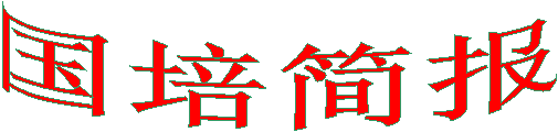 国培简报
